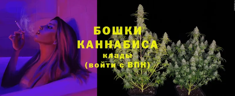 Конопля Ganja  Боготол 